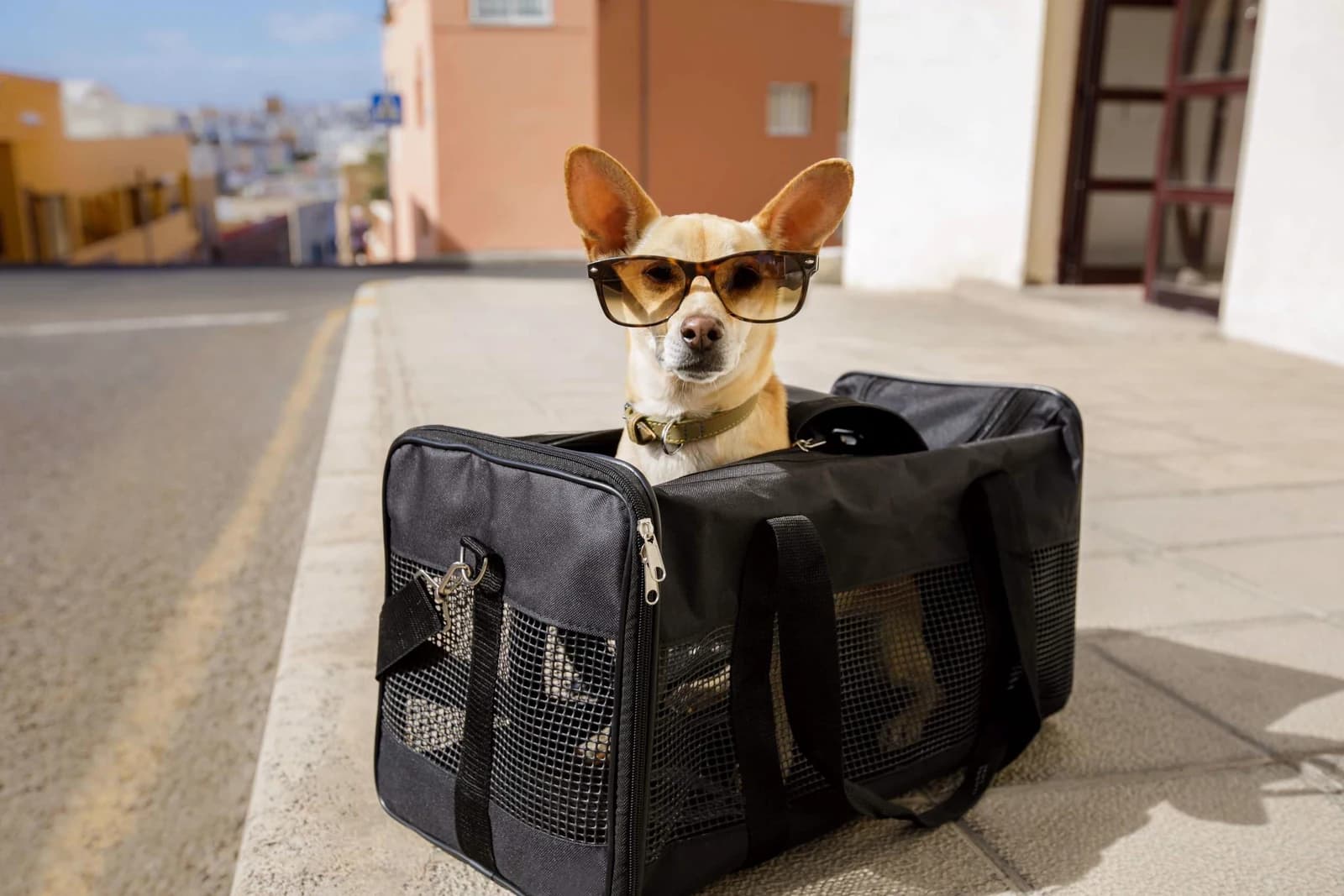 First Time Working Internationally? 7 Things to Consider