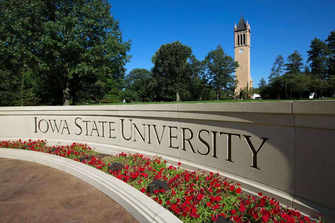 University Educator Case Study – Digital Marketing & MarTech