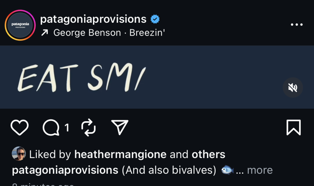 Instagram’s New Horizontal Video Trend: How to Do It